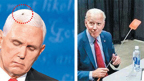 펜스 머리위 2분간 앉은 파리… 바이든은 파리채 사진 올려