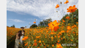 [날씨]‘한글날’ 아침 쌀쌀…태풍 간접영향에 남부 강풍