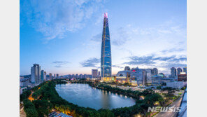 법원 “롯데타워 개방 통행로는 도로”…재산세 일부취소