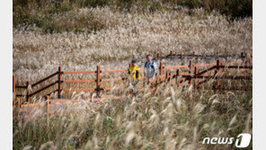 [날씨]10일 일교차 10도 넘어 아침 쌀쌀…남부해안 강풍주의