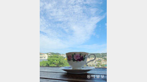 가을 한 잔[고양이 눈]