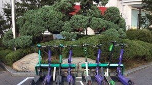 전통 킥보드 사고, 車보험으로 우선 보상 받는다…보헙업계 우려의 목소리