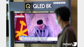 靑, NSC “남북관계 복원 의사 北 입장 주목…새 무기 분석 지속”