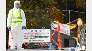 지킬 건 다 지켰는데도 아프리카돼지열병…대량 살처분 악몽 재현하나