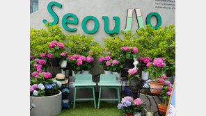 핑크뮬리-코스모스… ‘서울로’ 가을 꽃길 변신