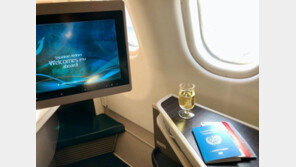 이근, 가짜 UN 경력 의혹에 ‘UN 여권’으로 반박 “허위 사실 유포 고소”