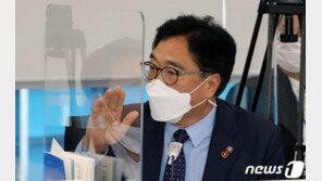 “美 국세청 웰컴투비디오 적발할 때 한국 국세청 뭐했나”