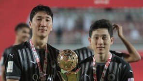 ‘남태희 골’ 사비의 알 사드…카타르 스타스컵 우승