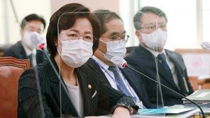 민주당, 나경원 부실수사 지적…추미애 “일부 압수수색 실시”