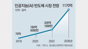 “AI반도체 인력 10년내 3000명 육성”