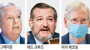 “트럼프 감싸다 의원직 날릴수도”… 거리두기 나선 공화당 중진