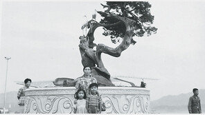 서울 첫 공공 식물원은? 하늘공원은 언제 생겼을까?