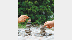 소원을 빌어요[고양이 눈]