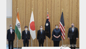 美비건 “쿼드, 배타적 의도 아냐…함께할 나라 환영”