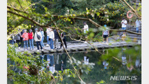 추석연휴 전국 인구 이동량 줄었지만…제주만 늘었다