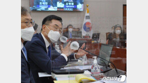 “조세포탈 허재호 재판 연기 의혹만 불러…법원, 엄격히 집행해야”