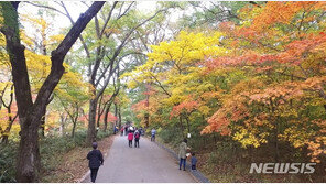 휴가·추석 이어 단풍방역…“여행·단체버스·뒤풀이 삼가야”