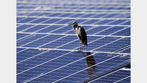 [청계천 옆 사진관]성큼 다가온 가을…사진으로 보는 풍경