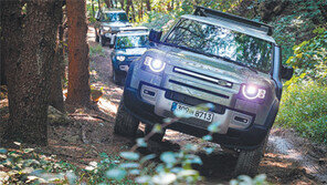 “오프로드만 강해? 아니 온로드도 굿”