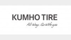 2025년 글로벌 타이어 시장 10위 재진입