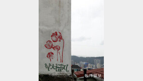 낙서 금지[고양이 눈]