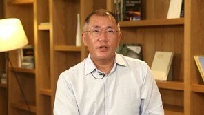 현대차그룹, 정의선 신임 회장 선임…20년 만에 총수 교체