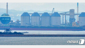 포항신항 입항 파나마 선적 2척 선원 확진자 12명으로 늘어나