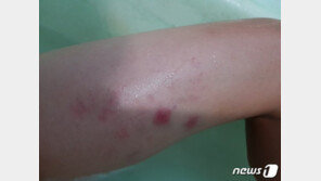 “부모 번호 몰라? 정신 나간 XX”…초등 교사 폭언 논란