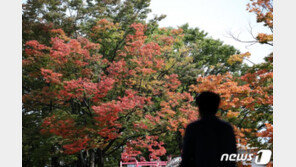 중대본, ‘단풍여행철’ 맞이 방역 강화…관광버스 탑승객 명단 의무 관리
