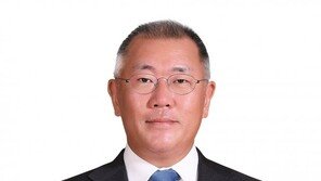 현대차그룹, 정의선 체제 본격 출범… 신개념 모빌리티 사업 박차