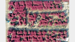 [날씨]서울 낮 최고기온 18도에 바람 ‘쌩쌩’…쌀쌀한 오후