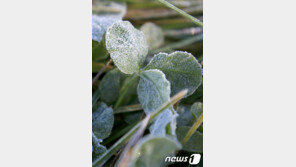 저녁부터 바람 ‘쌩쌩’…내일 아침 올가을 들어 가장 추워