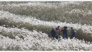 을숙도 걷기 체험프로그램