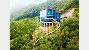 단양에 국내 첫 산악형 슬라이드 ‘만천하’ 문 열어