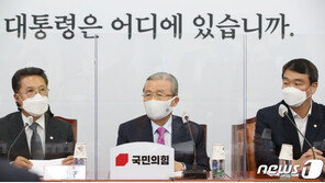 김종인 “라임·옵티머스, 철저한 수사 회의적…秋 수사지휘권 장악”