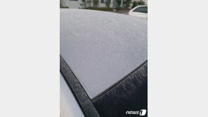 서울 아침 올가을 최저 6.5도…북춘천서 12일 빠른 ‘첫 서리’