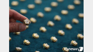 김홍걸·정정순·조수진·이상직…현역 최소 20명 줄줄이 재판에