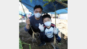 “강경젓갈-금산인삼 축제 올해는 집에서 즐기세요”