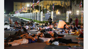 왕실개혁 들고나온 反정부 시위… 태국, 긴급조치 선포