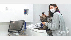 애견과 나, 둘만의 보금자리가 생겼다