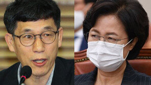 秋 형부 ‘낙하산 인사’ 의혹에…진중권 “하다하다 처제 찬스까지”