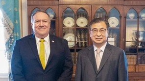 방미 서훈, 폼페이오 만나 “종전선언, 비핵화와 따로 놀 수 없어”