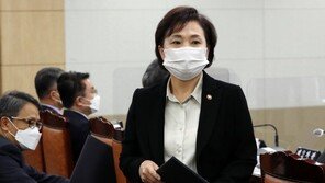 김현미, 감정원·KB국민銀 부동산 통계차 지적에 “호가중심 민간통계 탓”