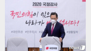 與 증인 거부에 국민의힘 ‘국민 국감’ 개최…피살 공무원 친형 참석