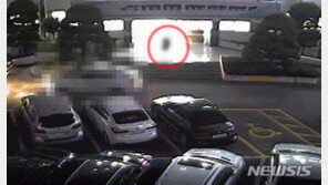 음주 뺑소니 운전자, 너무 급해 찾아간 화장실이 경찰서