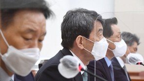 이동걸 “산은·수은 합병, 장기적 요구 있어…지금은 부적절”