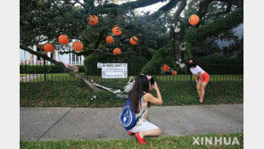 코로나19 하루 확진추가 40만 명 넘어서…미국 6.5만명