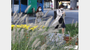 [날씨]17일 아침 최저기온 6도…쌀쌀한 가을 날씨 계속