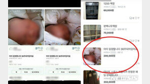 당근마켓 “36주 영아 20만원에 팔아요” 게시글 충격