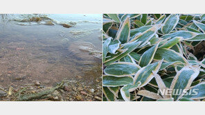 한라산 얼음·서리 첫 관측…지난해보다 10일 빨라